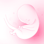 Online iscjeljivanje posljedica abortusa u obiteljskom stablu i polju